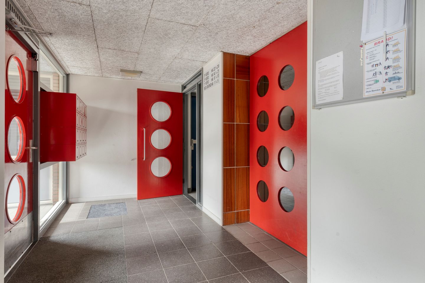 Photo 4 of Kievit 23