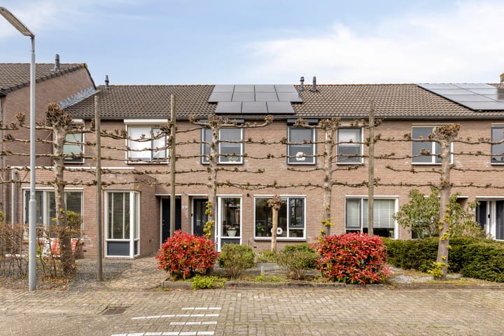 Zandakker 18 main image