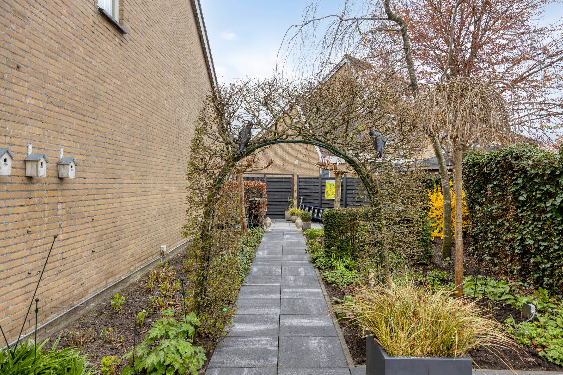 Foto 51 van Linde 11