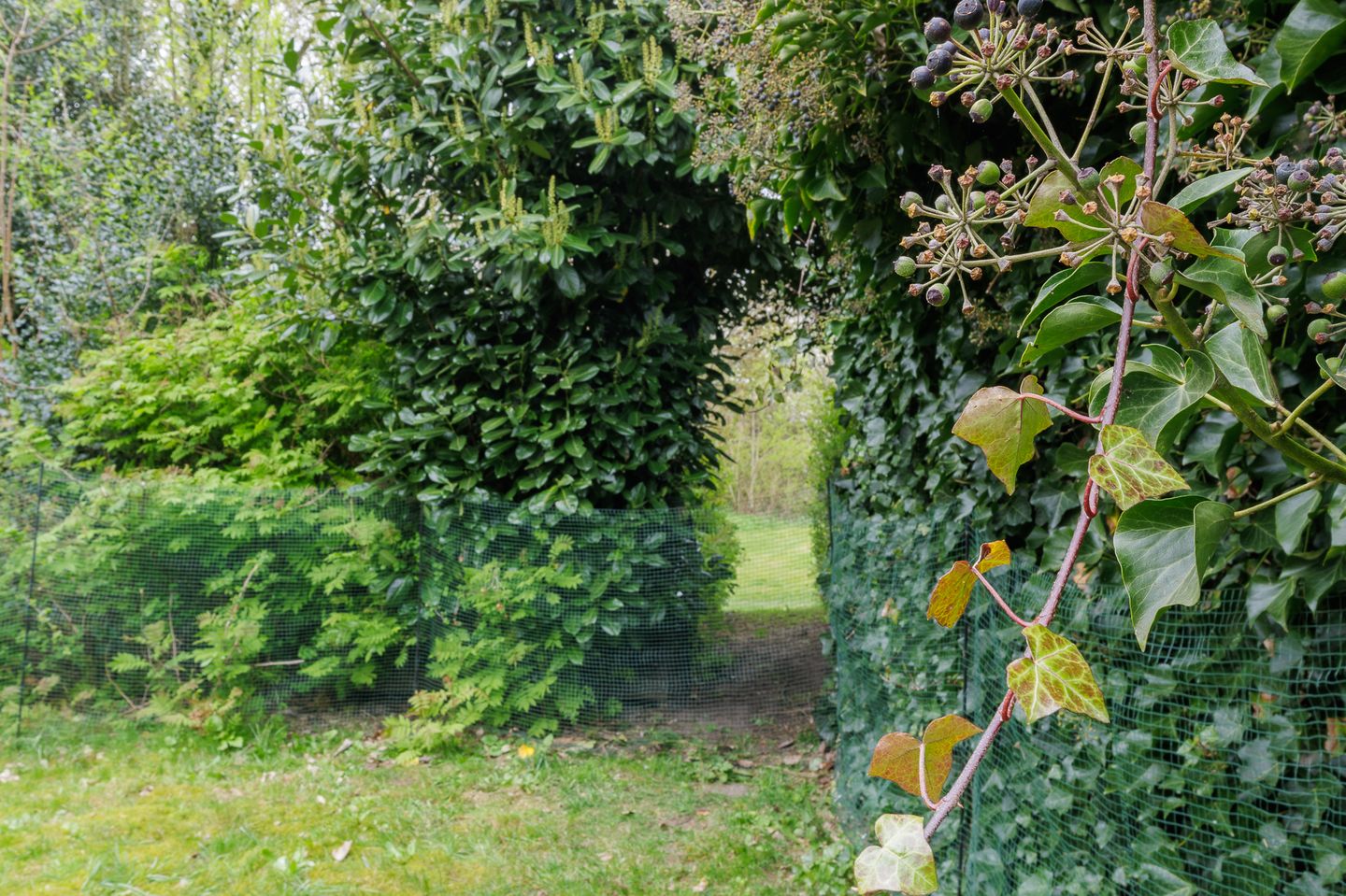 Foto 29 van Lageweg 67