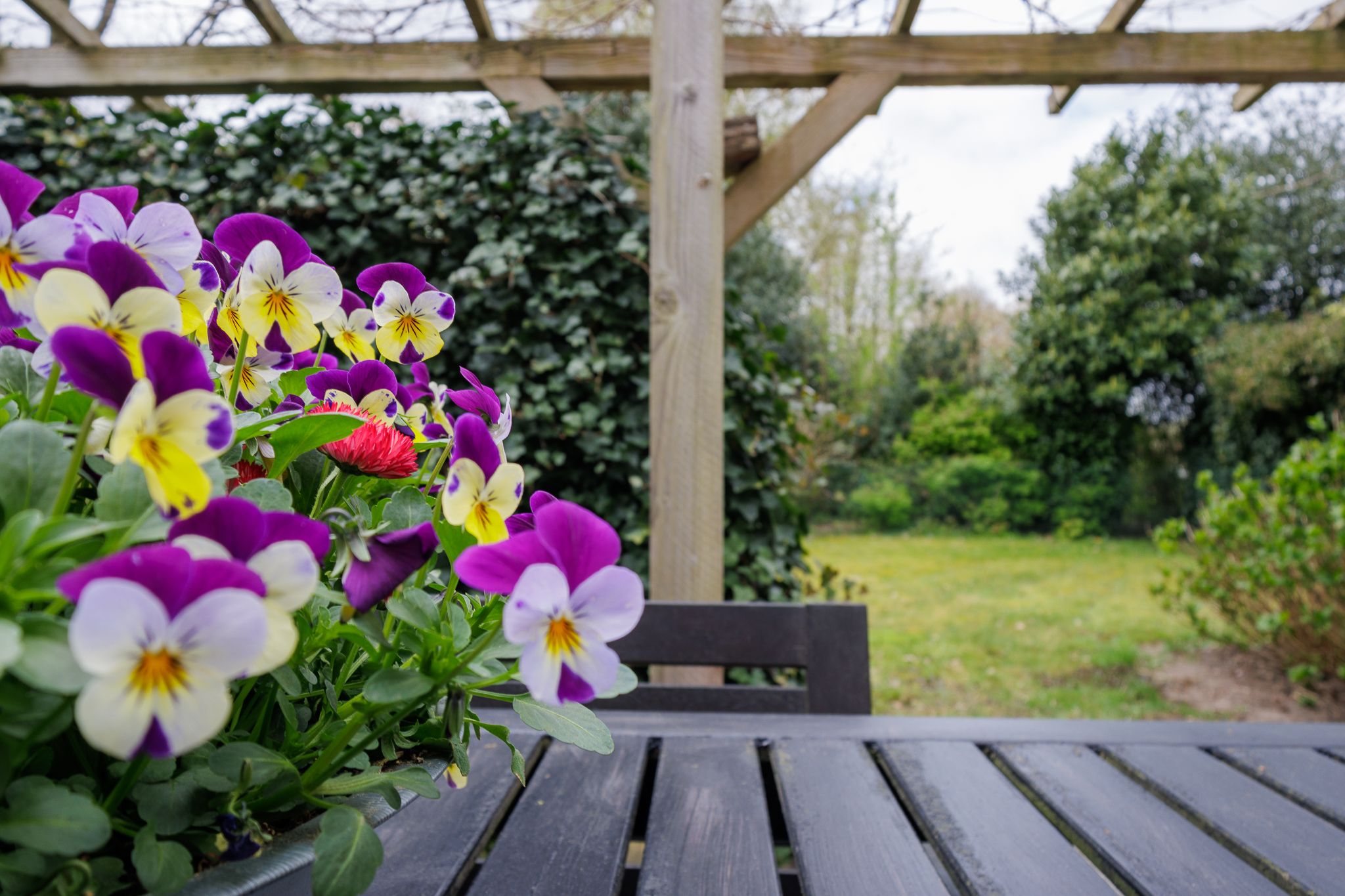 Foto 24 van Lageweg 67