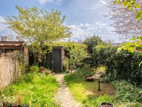 Die 6 tertiary image