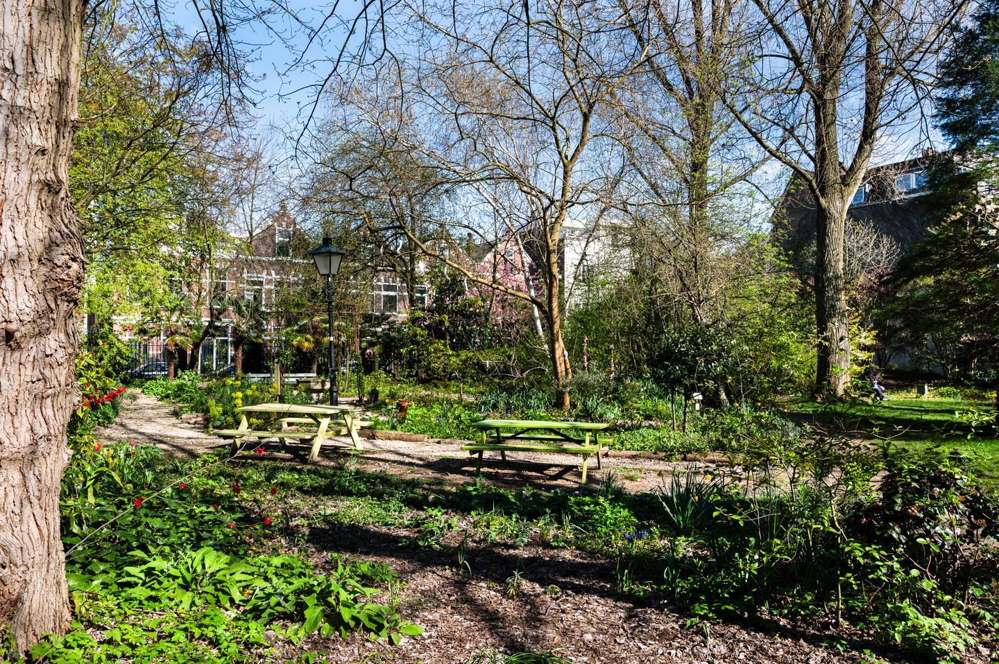 Photo 55 of Schoonderloostraat 54-B