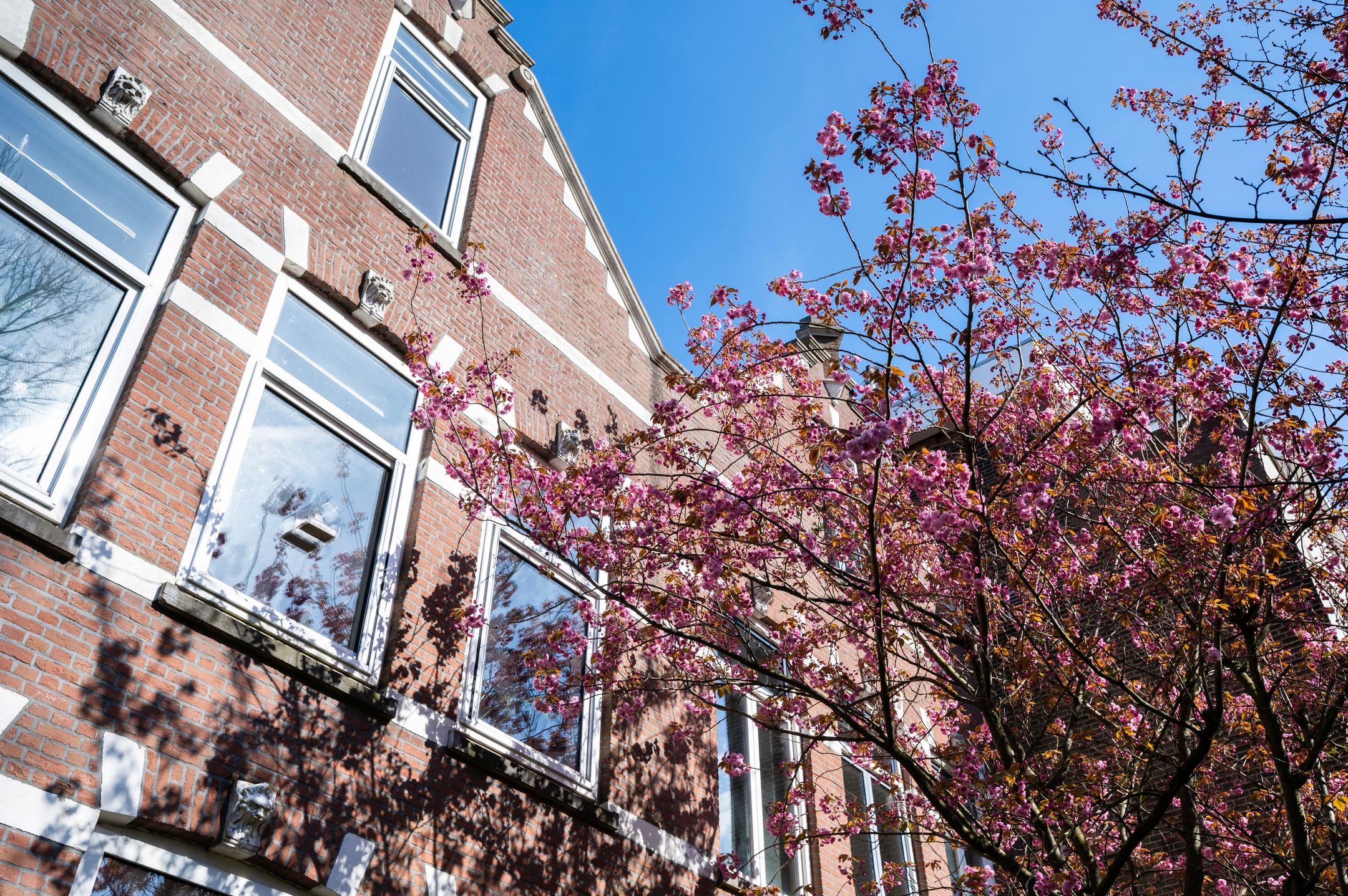 Photo 51 of Schoonderloostraat 54-B