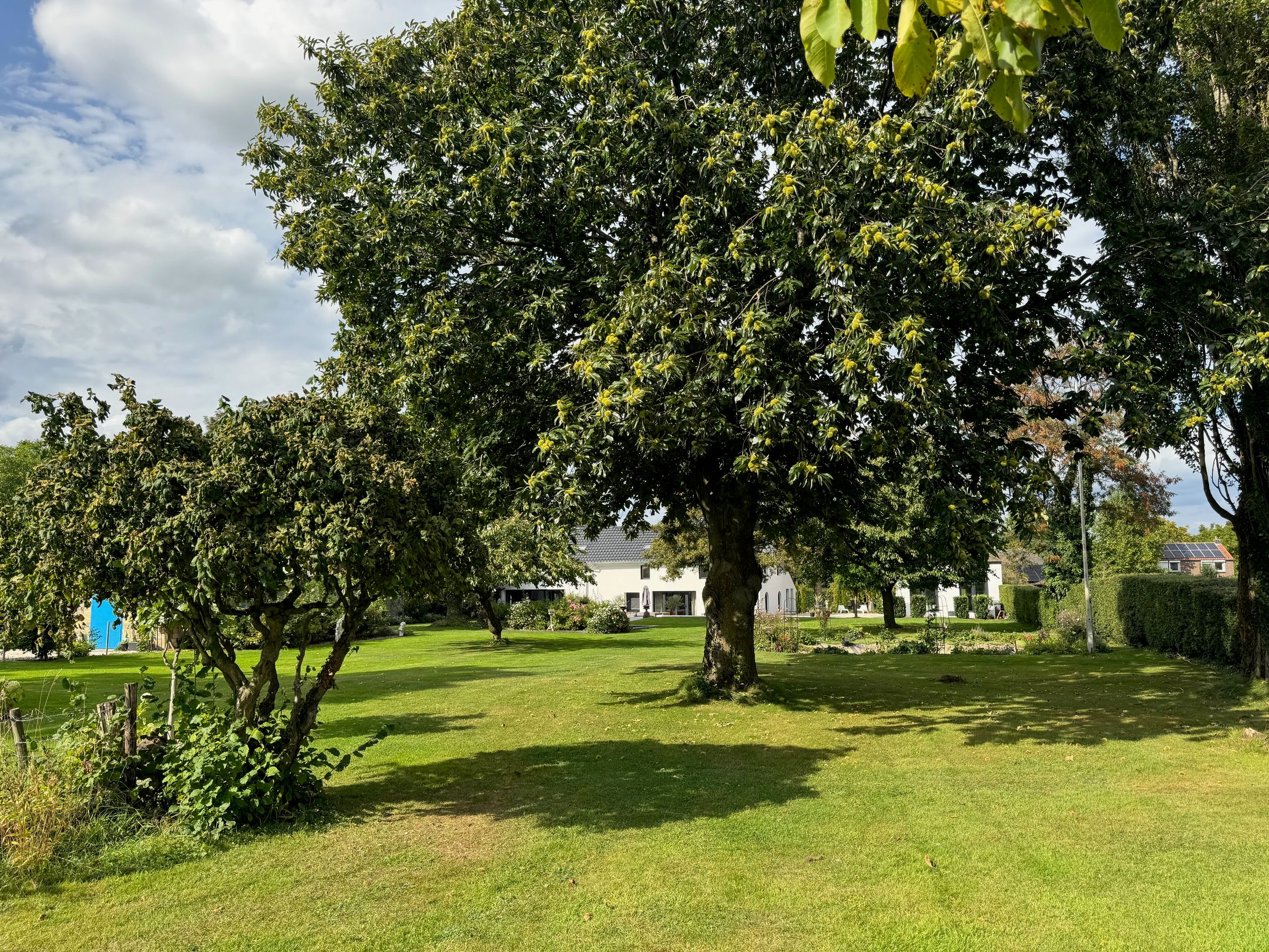 Photo 6 of Gasthuis 32
