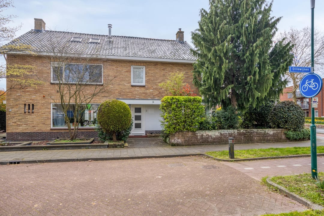 Foto 2 van Dillewijnen 2