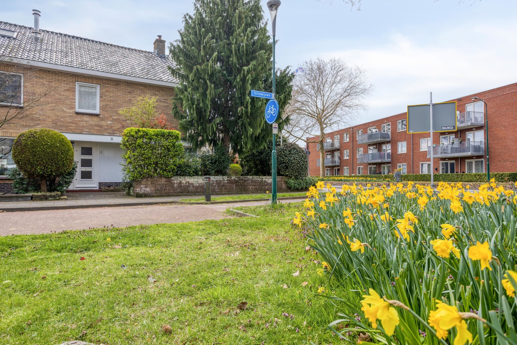 Foto 6 van Dillewijnen 2