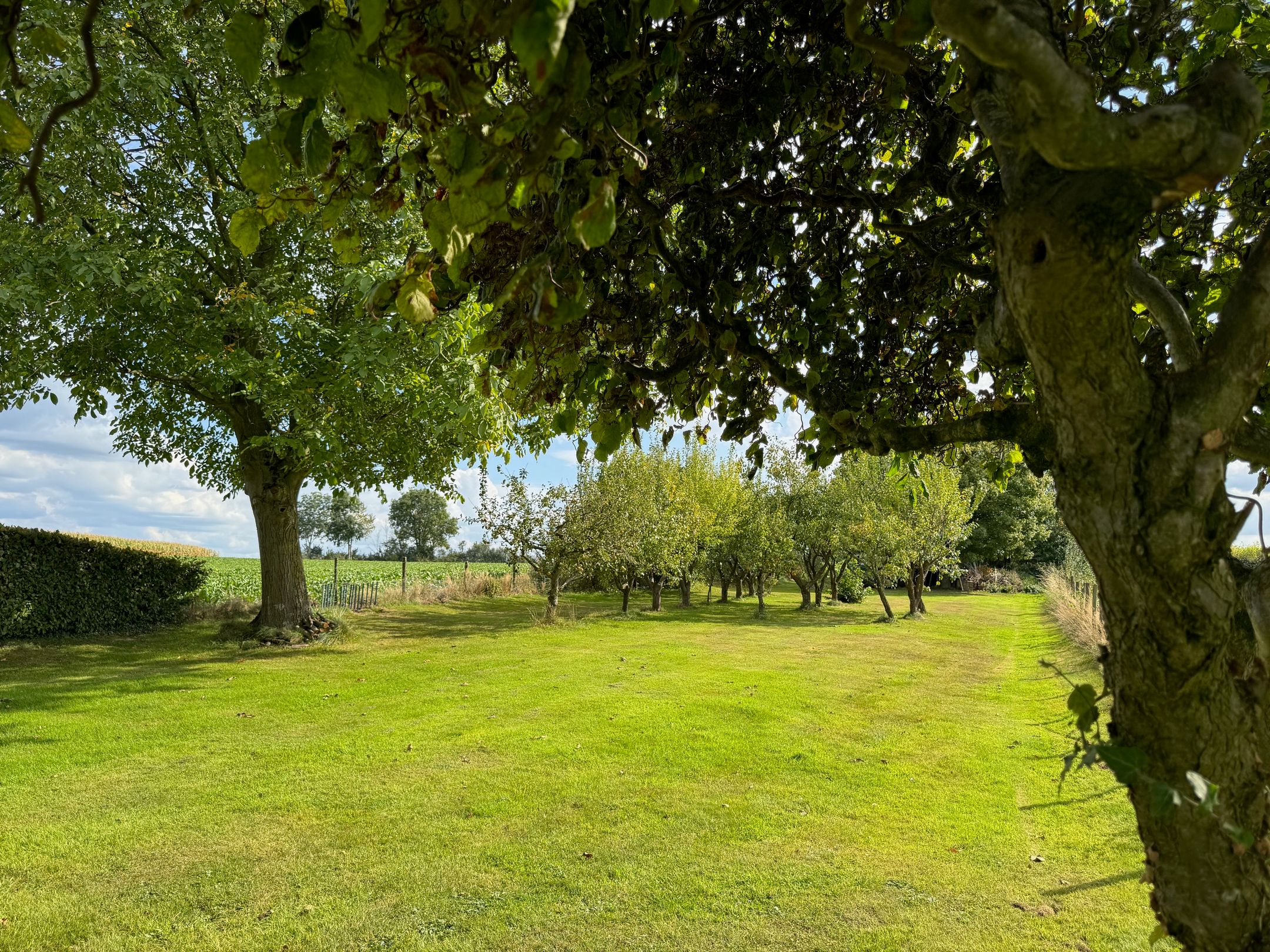 Foto 51 van Gasthuis 32