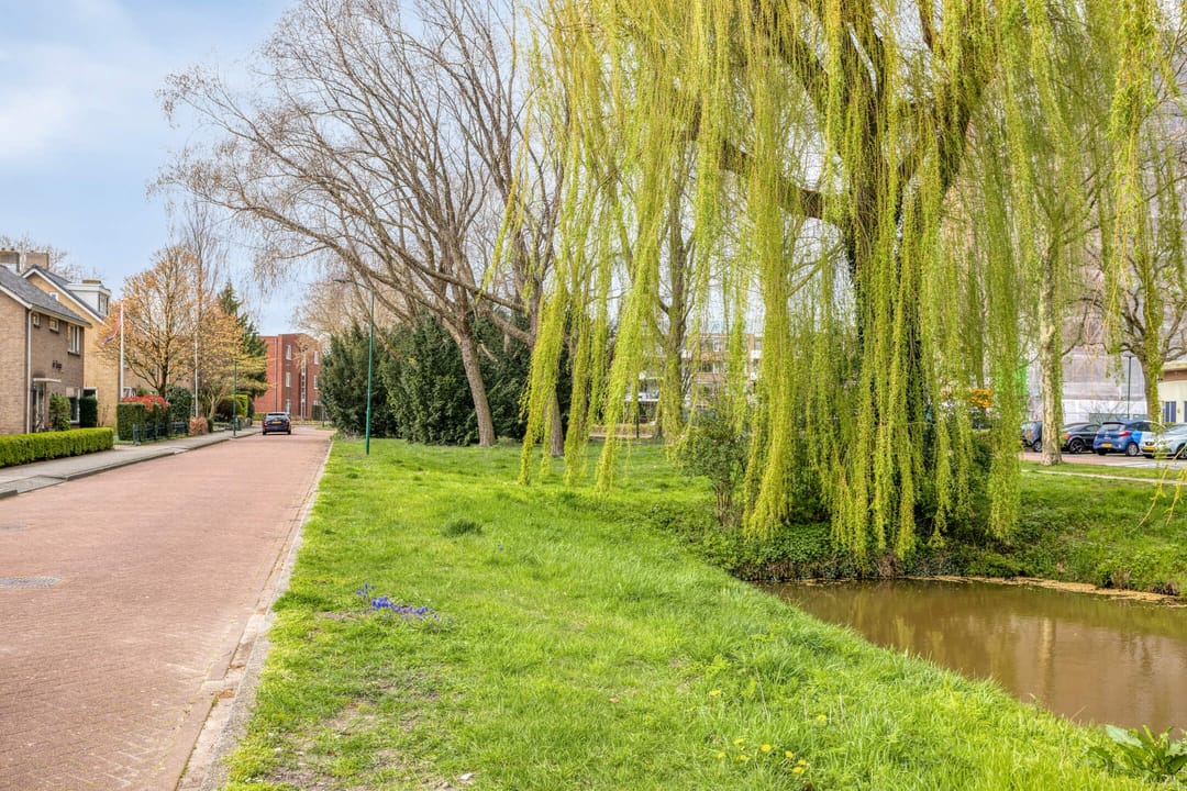 Foto 58 van Dillewijnen 2