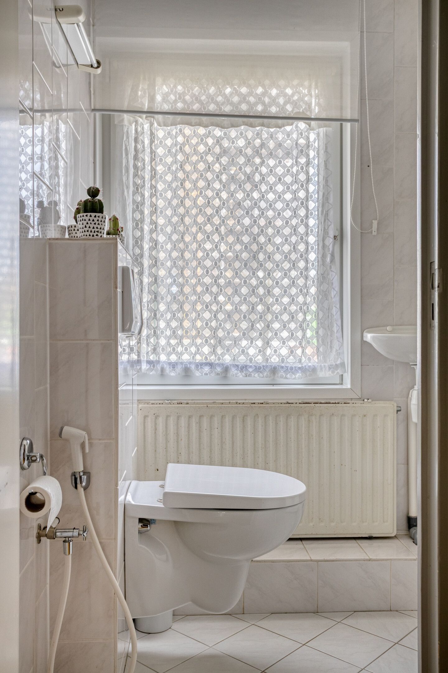 Foto 40 van Dillewijnen 2