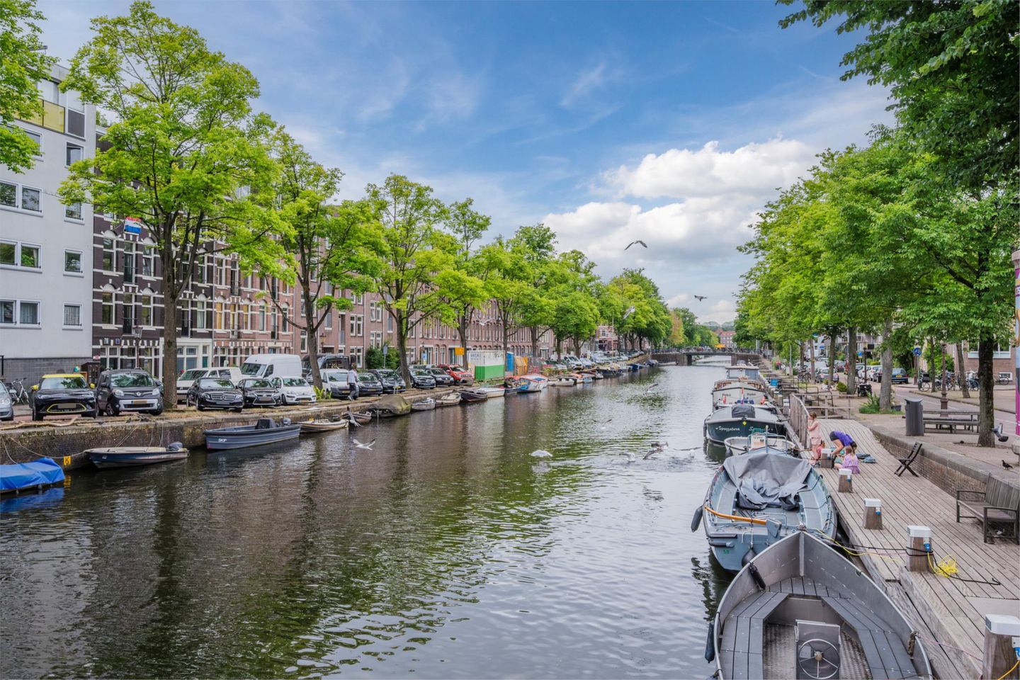 Foto 29 van Nicolaas Beetsplantsoen 10