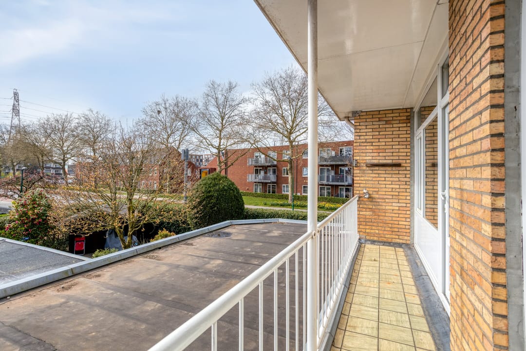 Foto 31 van Dillewijnen 2