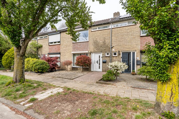 Foto 2 van Anna Paulownastraat 27