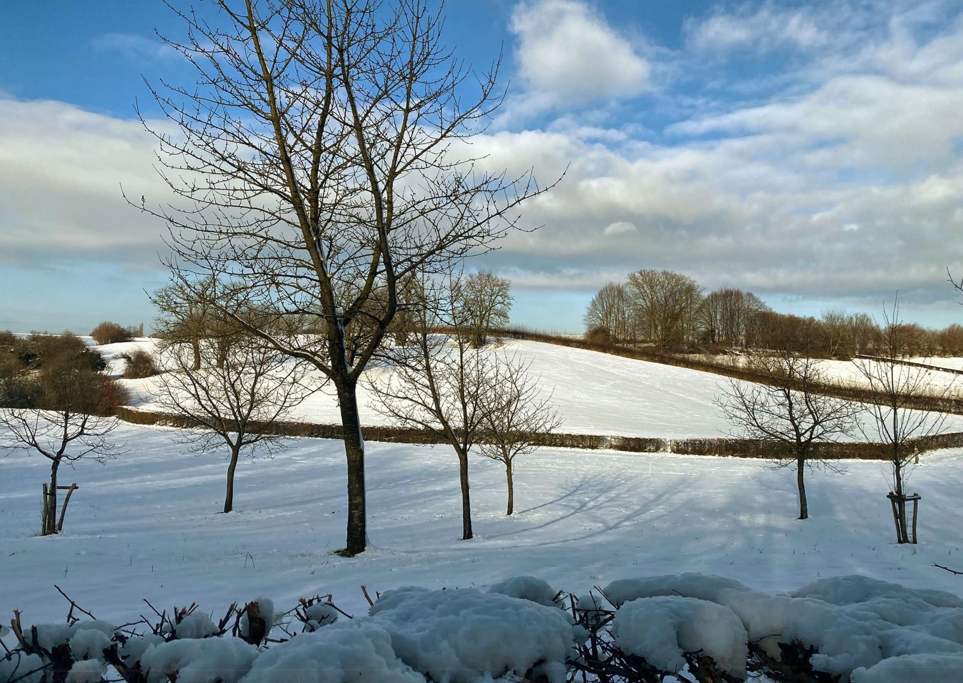 Foto 57 van Gasthuis 32