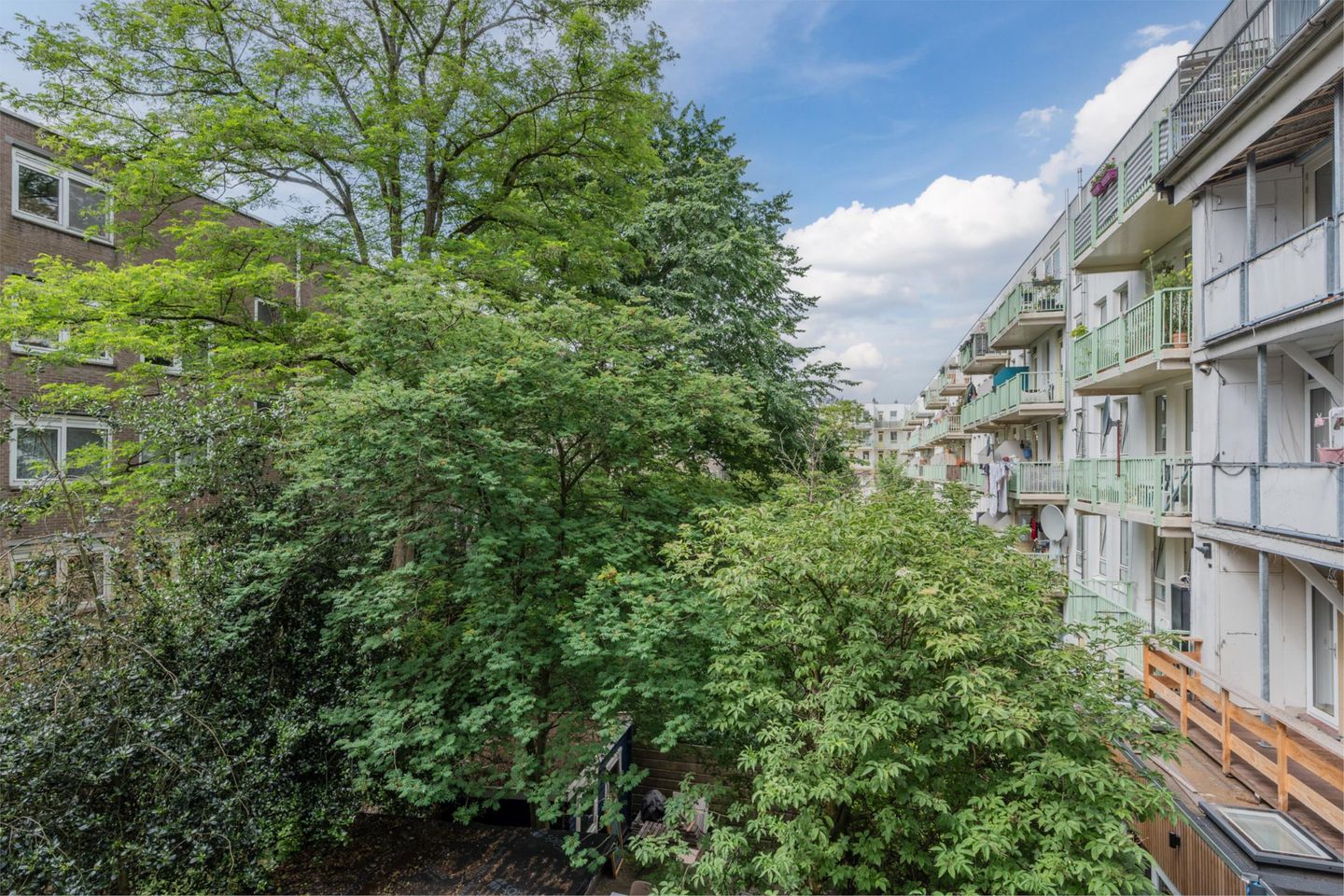 Foto 20 van Nicolaas Beetsplantsoen 10