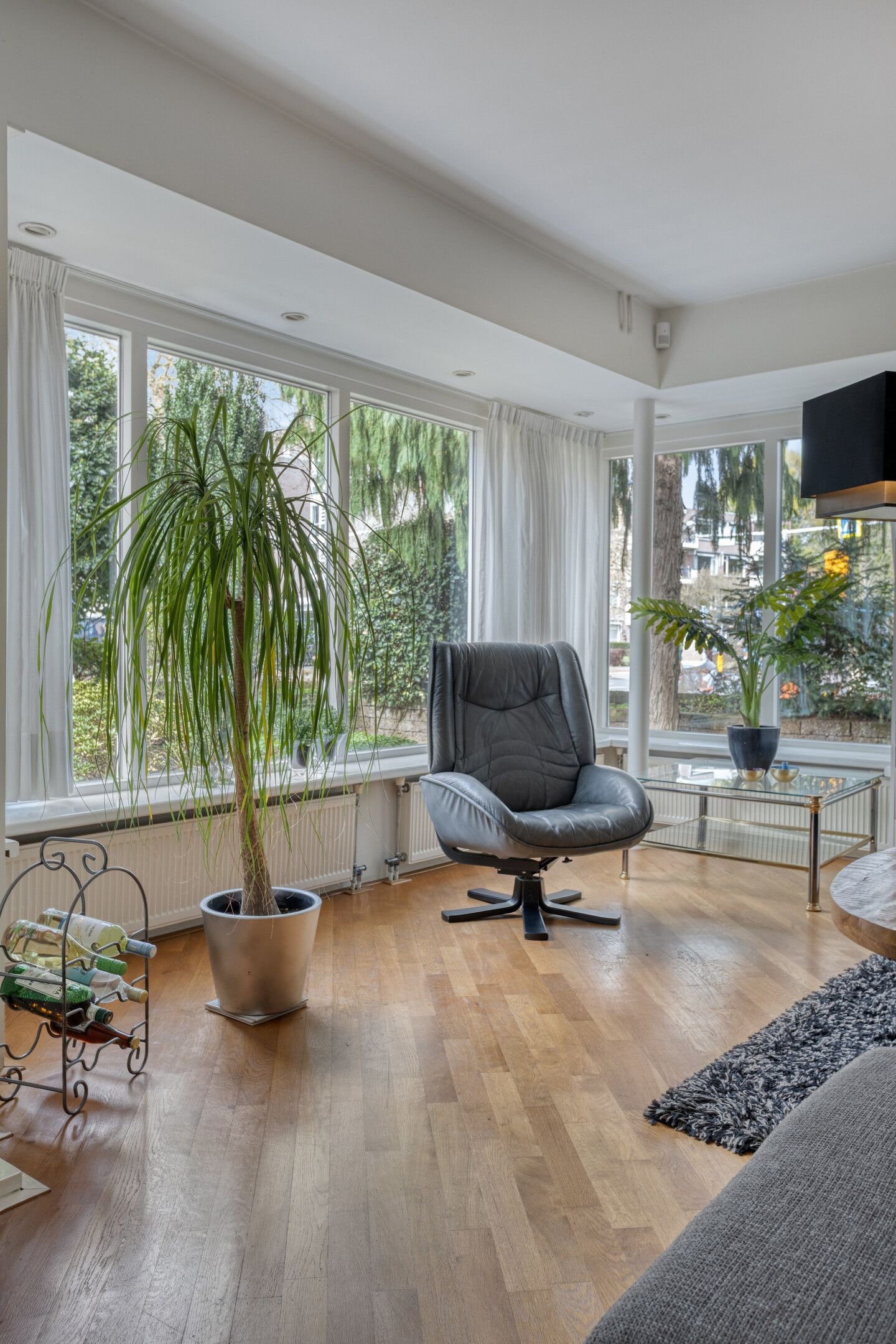 Foto 12 van Dillewijnen 2