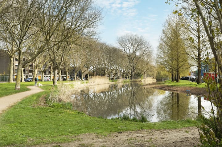 Foto 4 van Adriaen van Ostadestraat 28