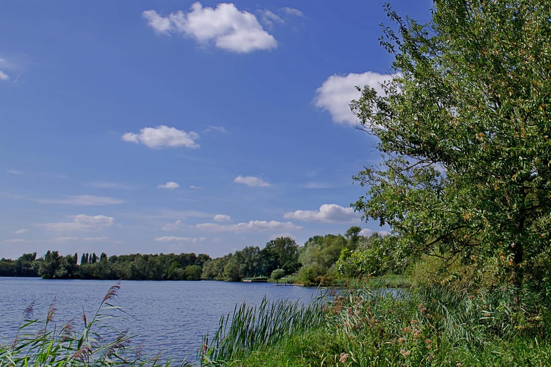 Foto 17 van Sloterweg 994