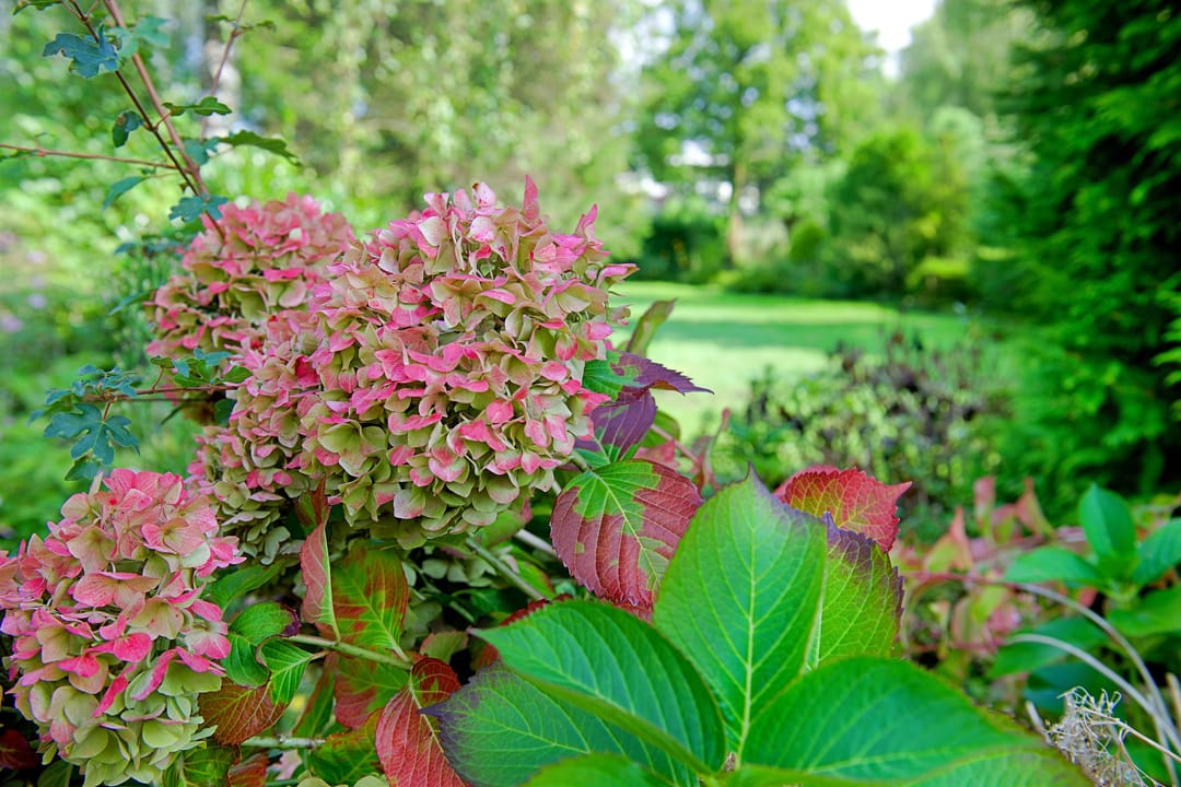 Foto 13 van Sloterweg 994