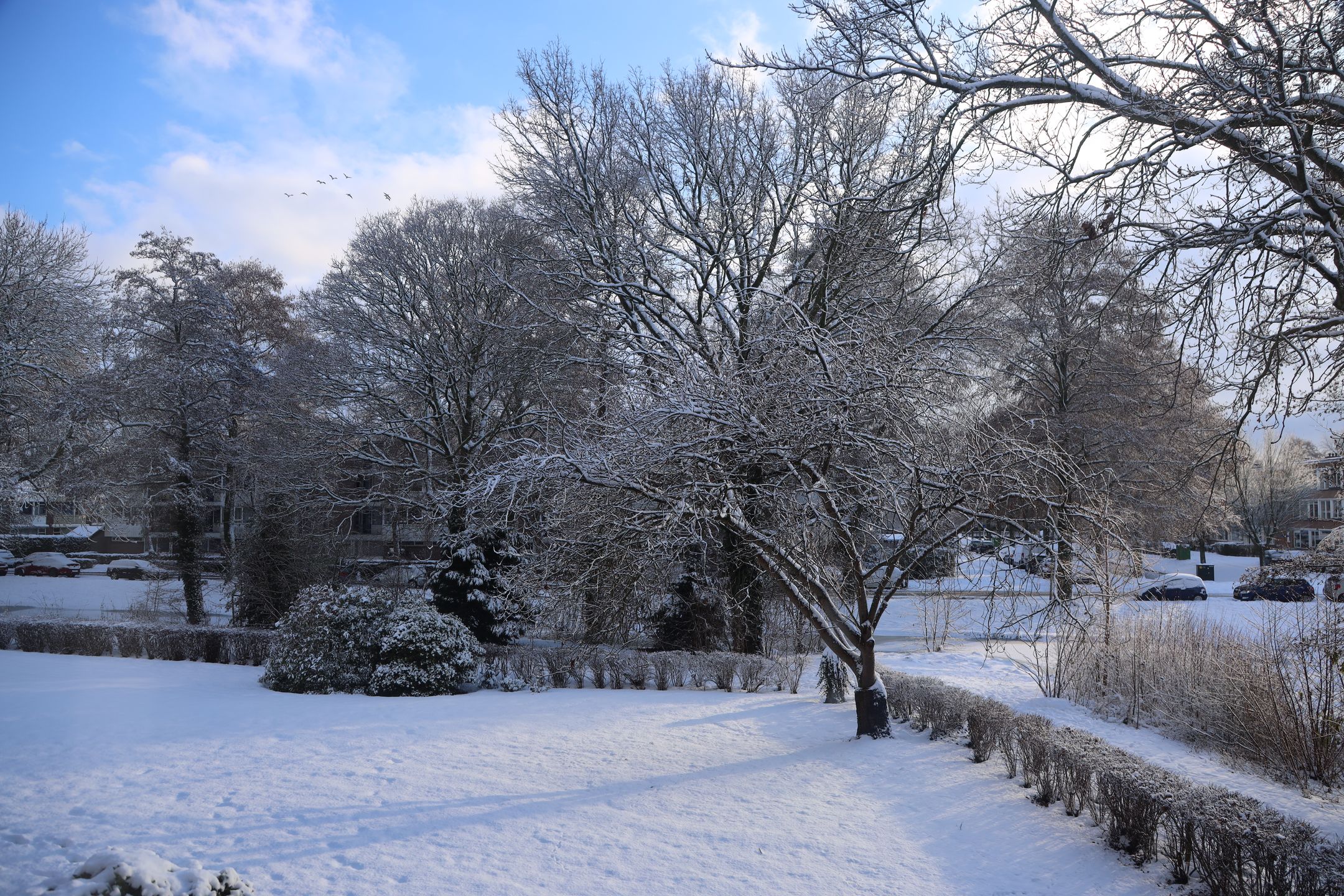 Foto 30 van Van Beethovenstraat 143