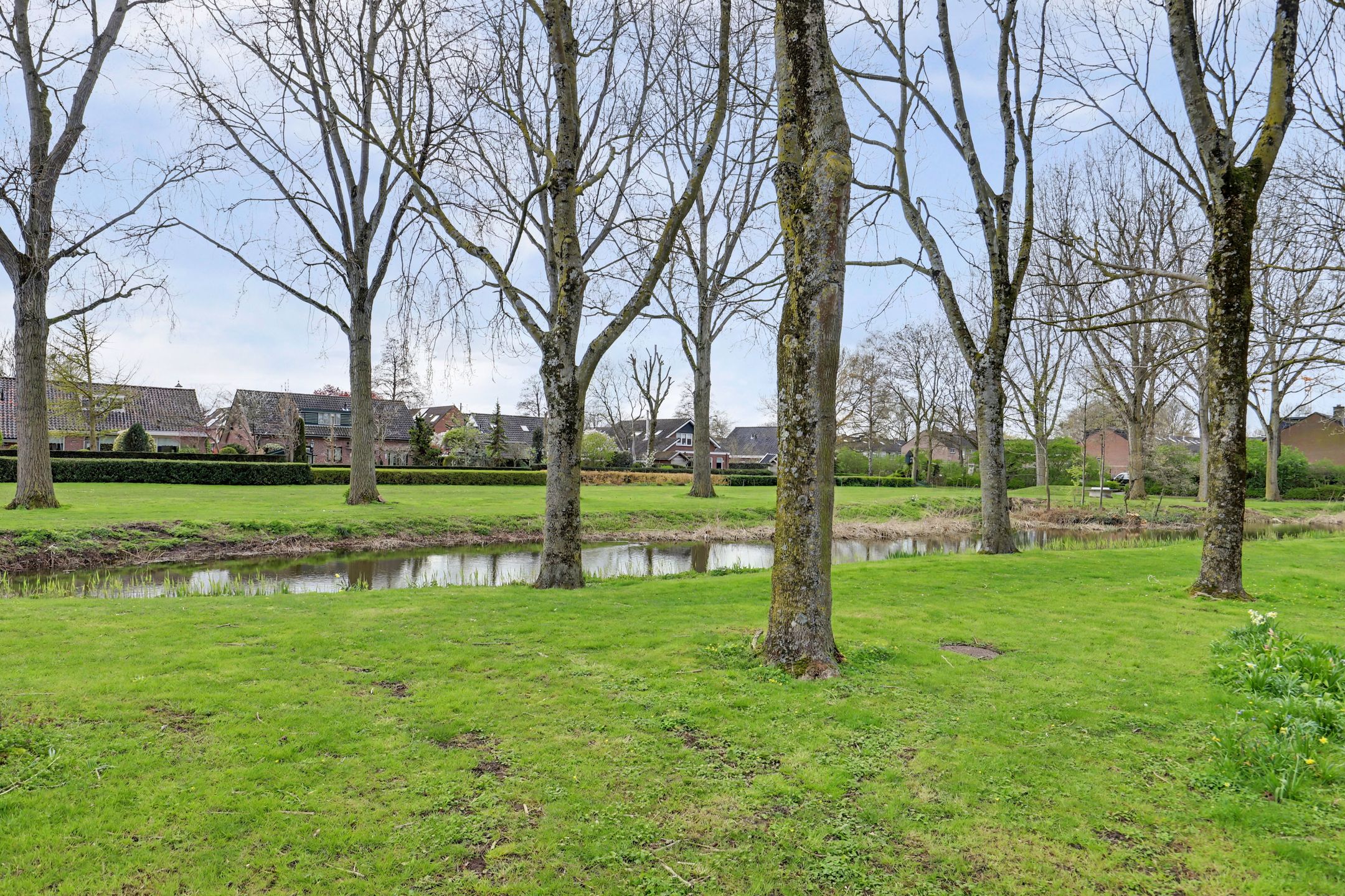 Foto 6 van Zuidster 51