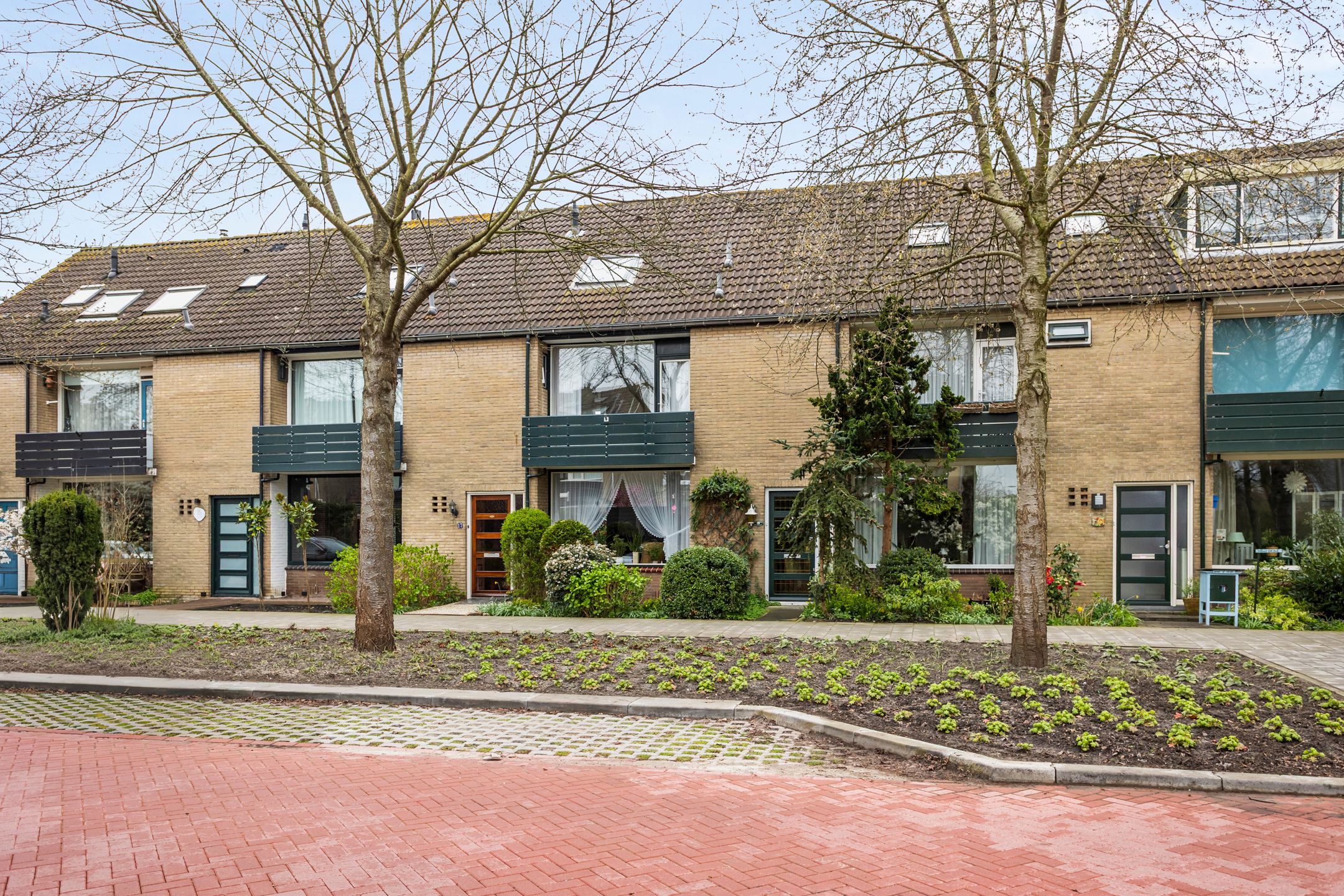 Burgemeester Boerstraat 17 