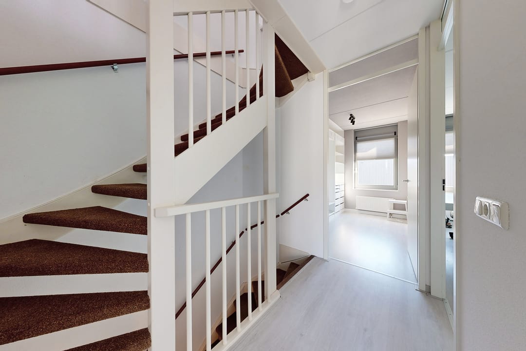 Photo 28 of Brabantse Bellefleur 87