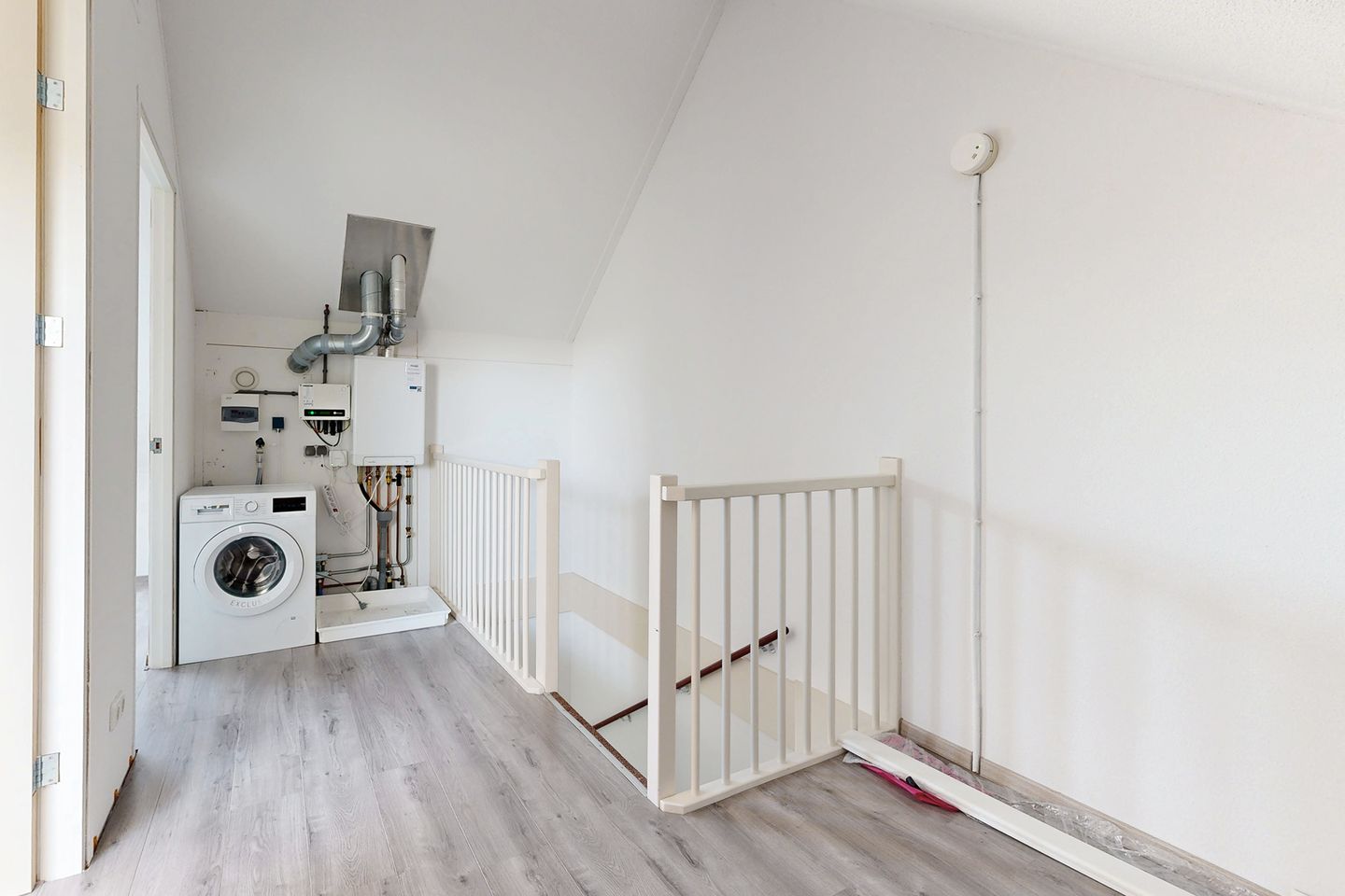 Photo 40 of Brabantse Bellefleur 87