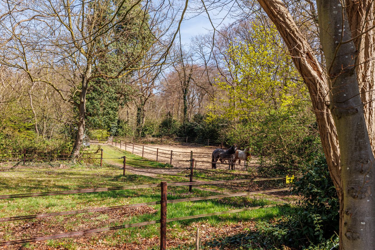 Foto 49 van Het engelse werk 37