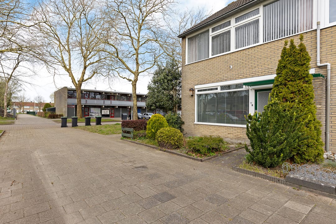 Foto 8 van Bûtewacht 36