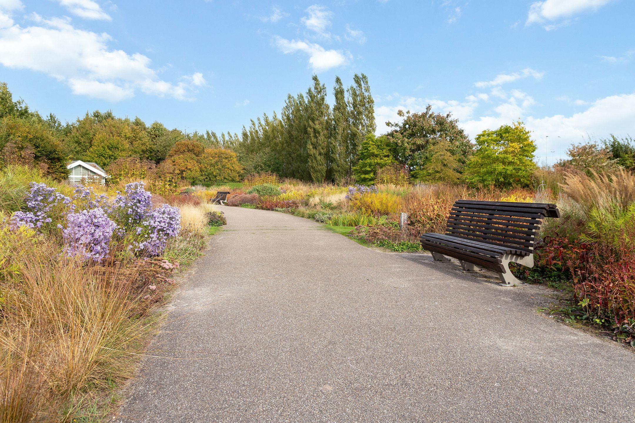 Photo 48 of Parkzichtlaan 104