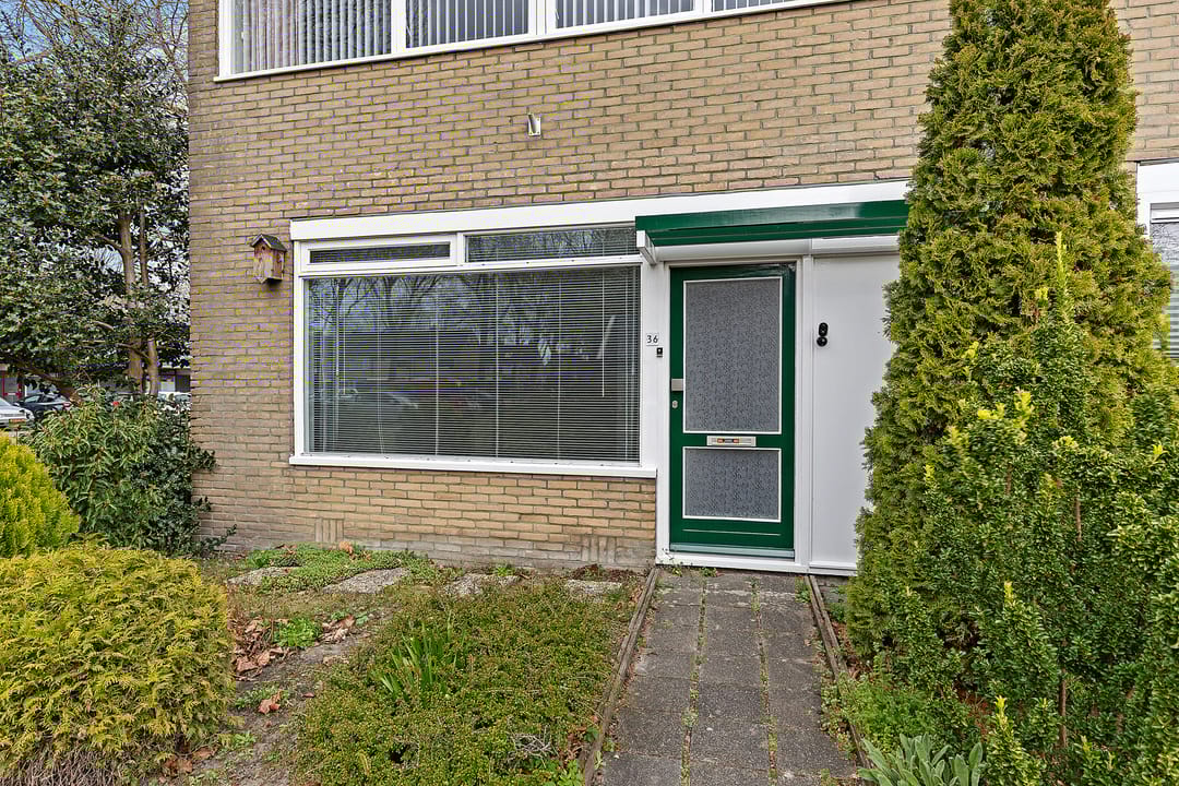 Foto 11 van Bûtewacht 36