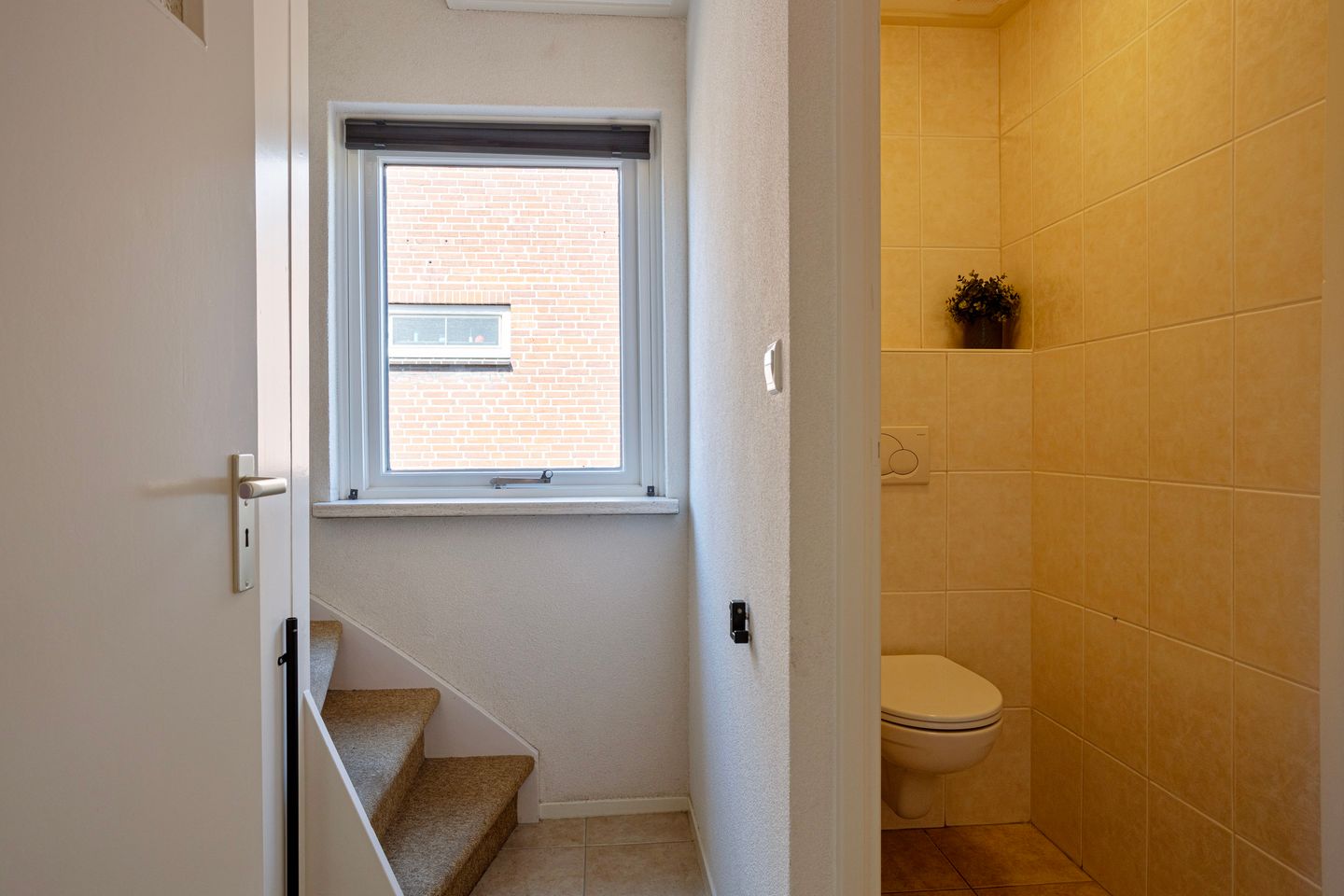 Foto 29 van Regenwicestraat 15