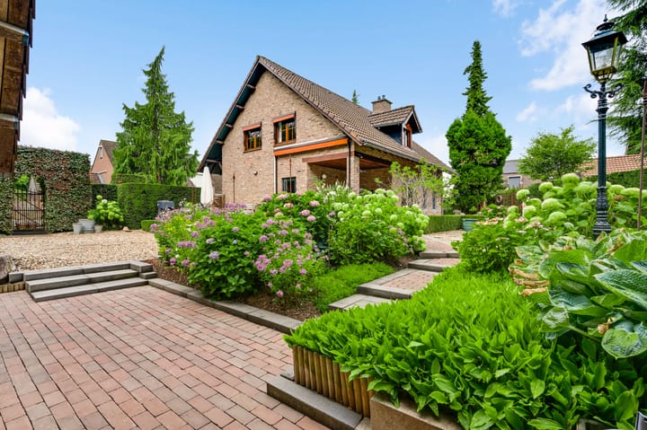 Foto 3 van Dassenburcht 32