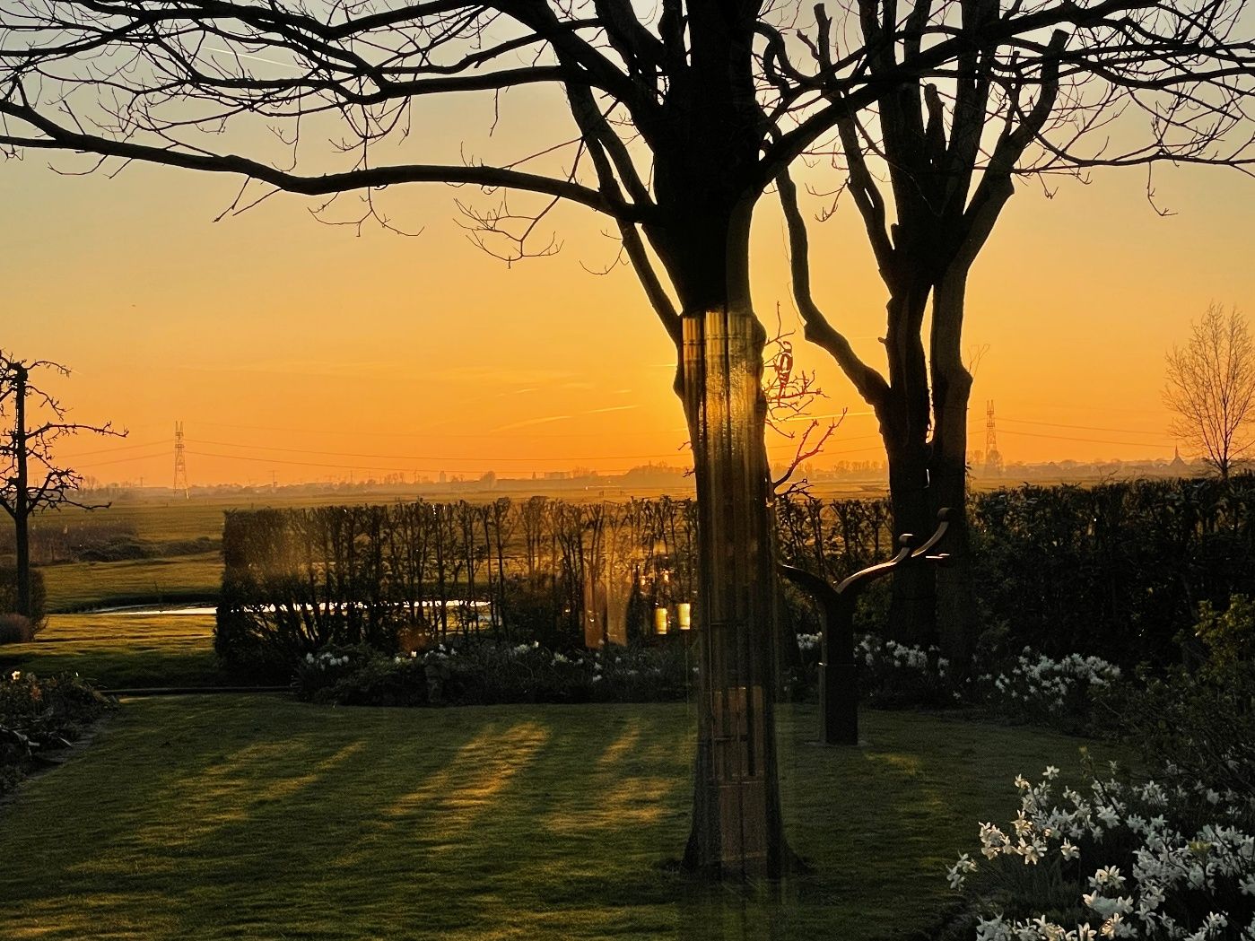 Photo 36 of De Erven 8