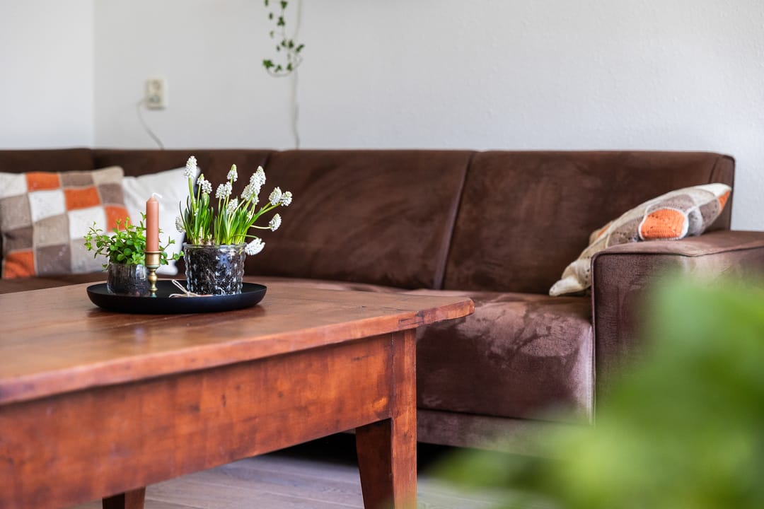 Photo 13 of Tarweakker 19