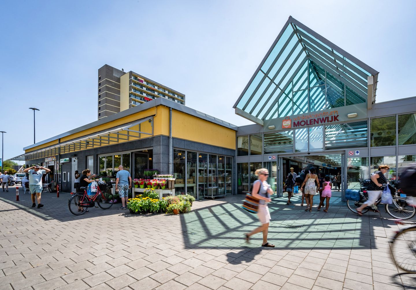 Bekijk foto 1 van Molenwijk 41