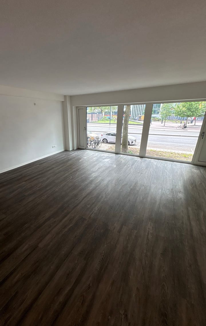 Foto 2 van Rochussenstraat 127-B