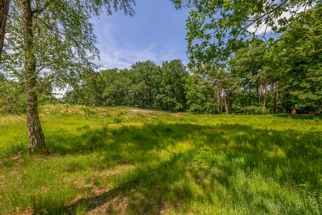 Foto 8 van Nachtegaallaan - bouwnummer 2