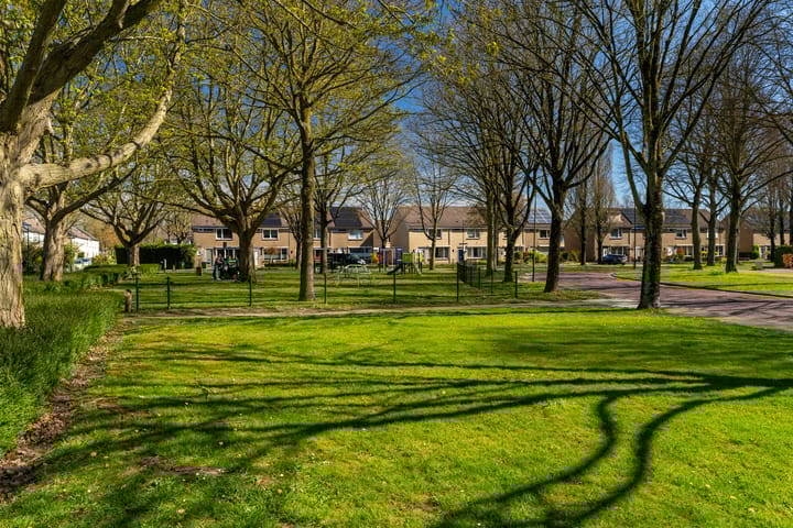 Foto 3 van Strijenlaan 43