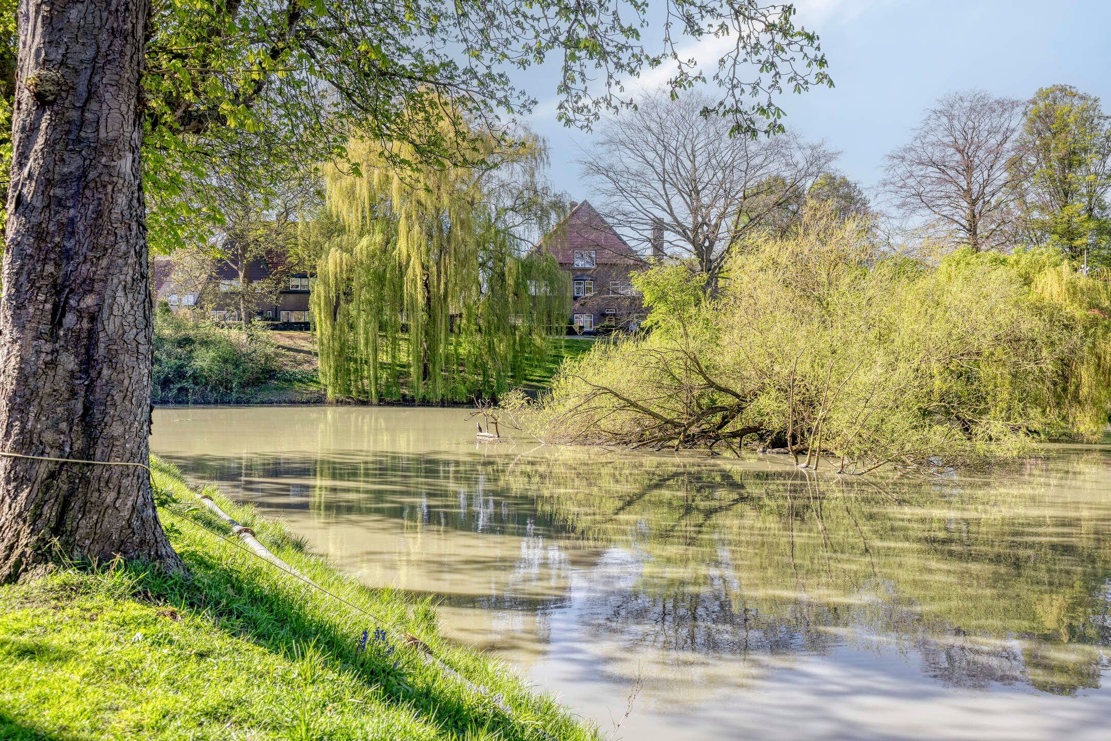 Foto 24 van Oostsingel 60-A