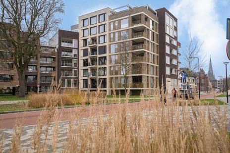 Molenstraat thumbnail