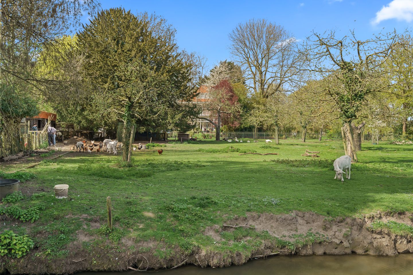 Photo 50 of Goudsbloemstraat 6