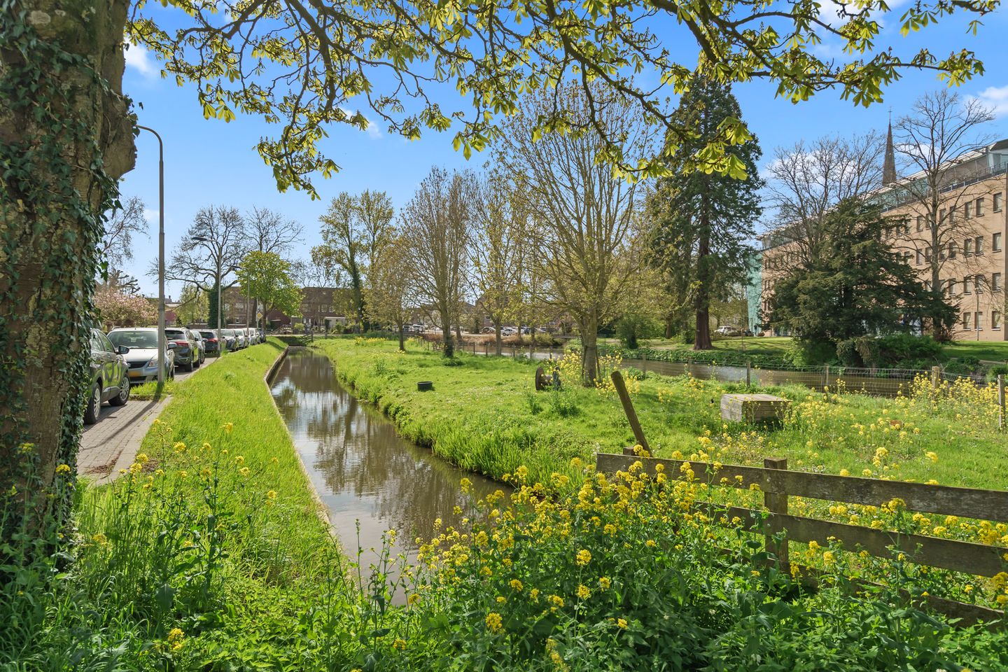 Photo 49 of Goudsbloemstraat 6