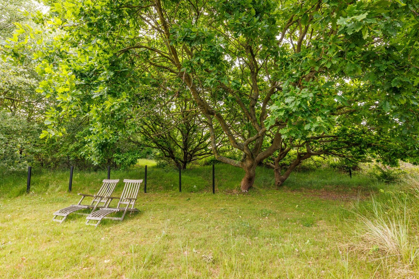 Foto 35 van Bosrand 85