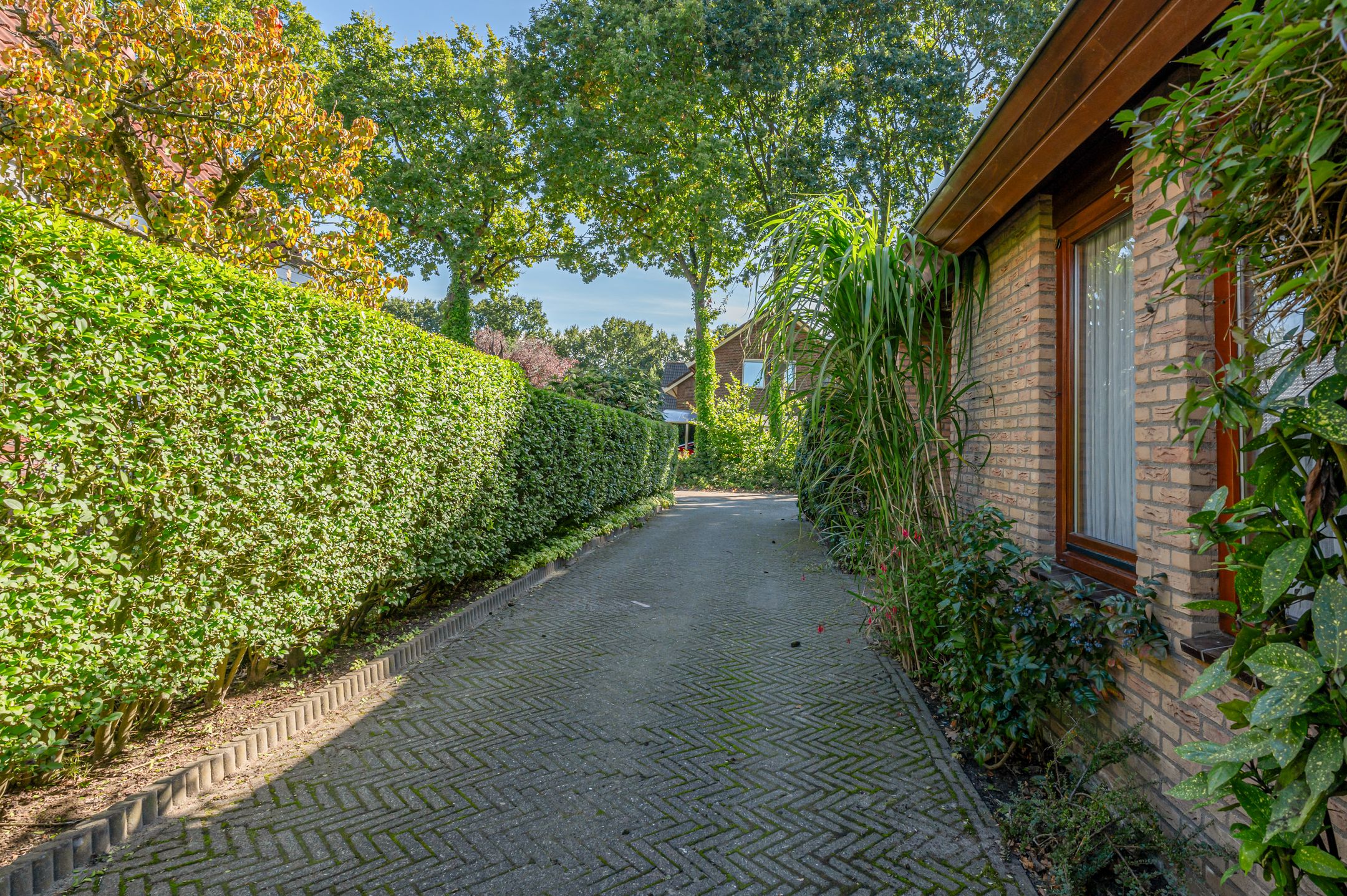 Foto 36 van Dwarsbree 7