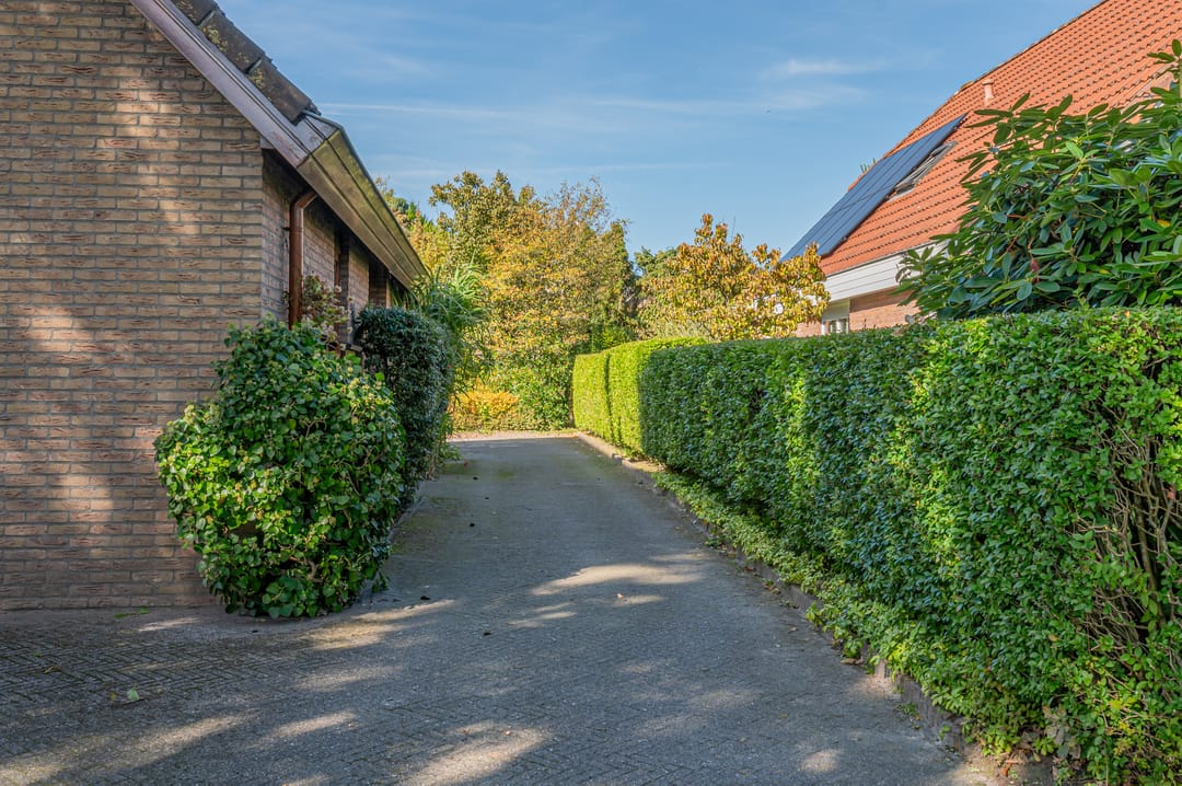 Foto 38 van Dwarsbree 7