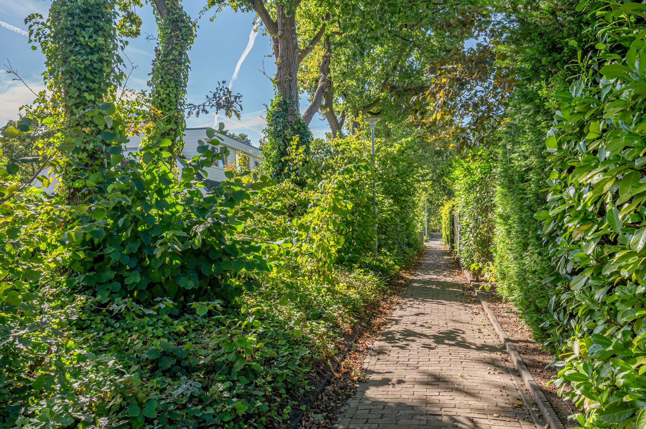 Foto 57 van Dwarsbree 7