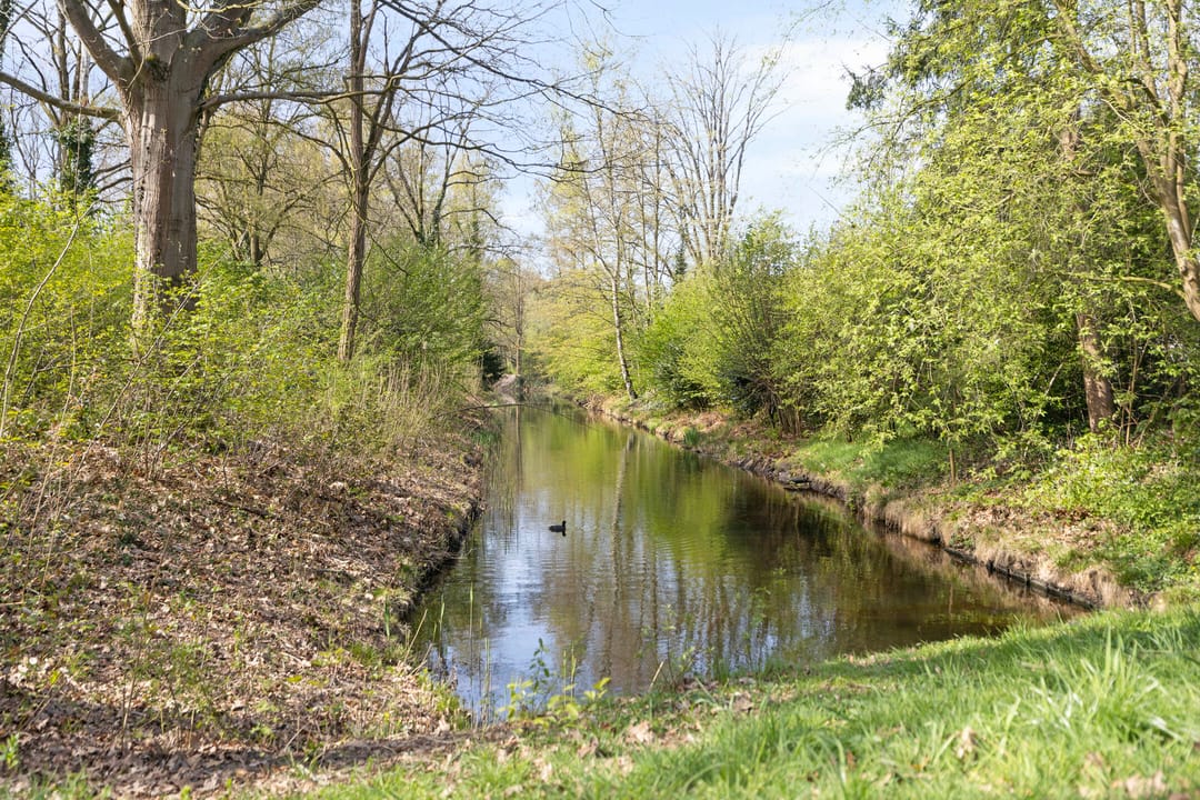 Foto 41 van Bachstraat 6