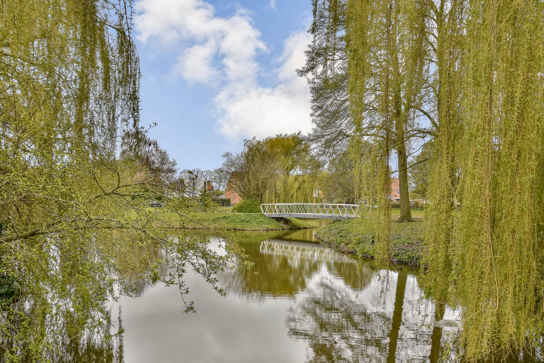 Foto 32 van van Heutszpark 16